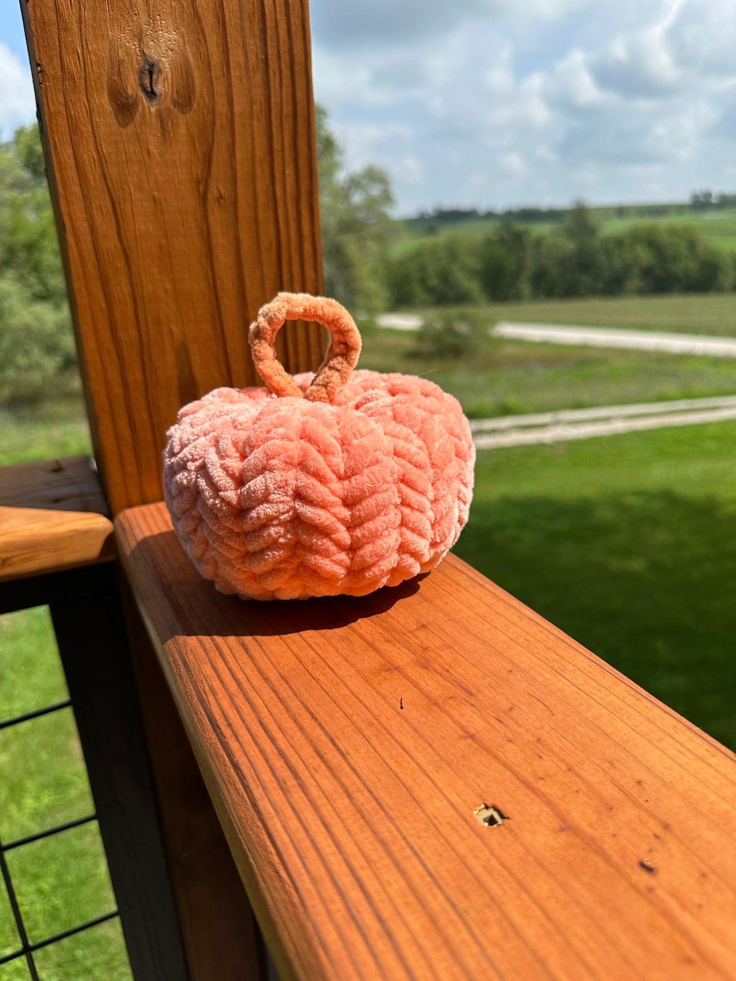 Pink Herringbone pumpkin